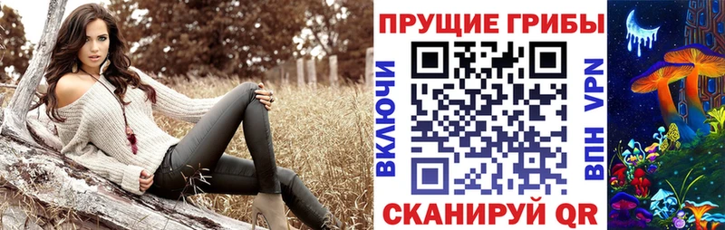 Галлюциногенные грибы мицелий  как найти наркотики  Гаджиево 